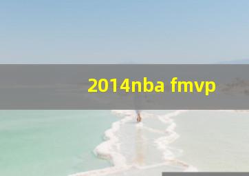 2014nba fmvp